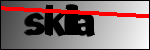 متن برای شناسایی