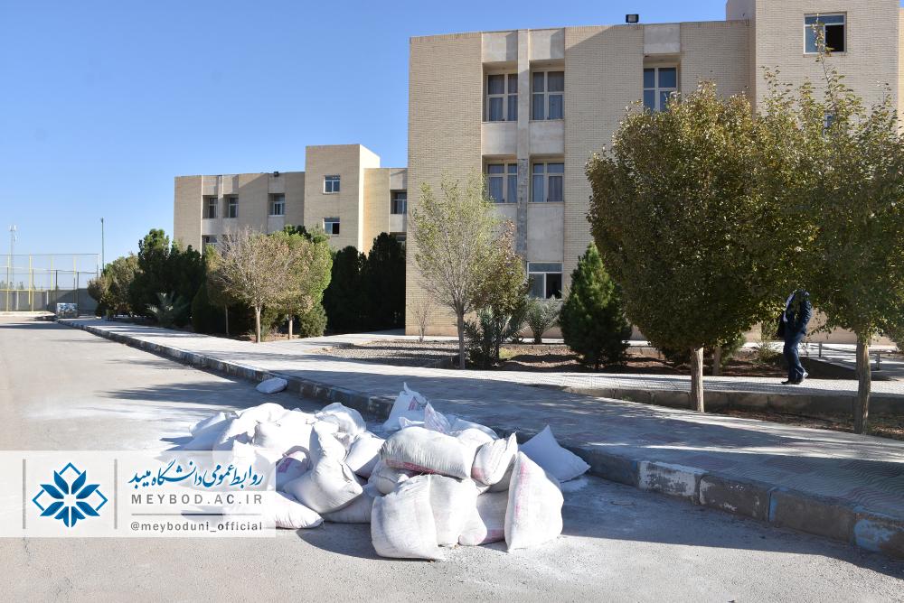 صورة مصغّرة