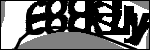 متن برای شناسایی