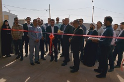 صورة مصغّرة